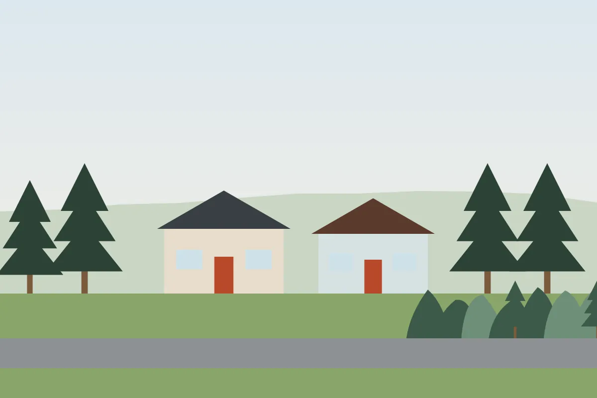 A Raleigh neighborhood street edged by tall pines and a wooded back lot