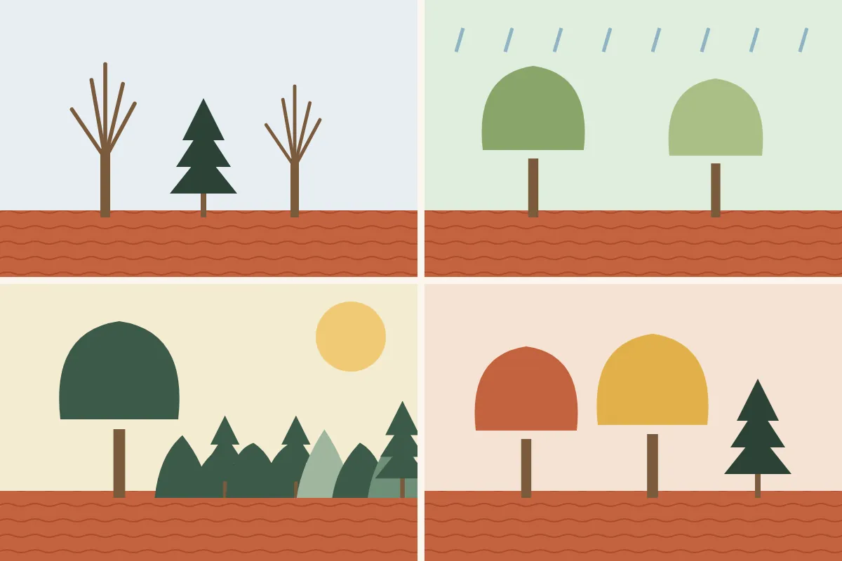 Four seasonal panels of Piedmont woods: winter bare trees, spring rain, summer green, fall color